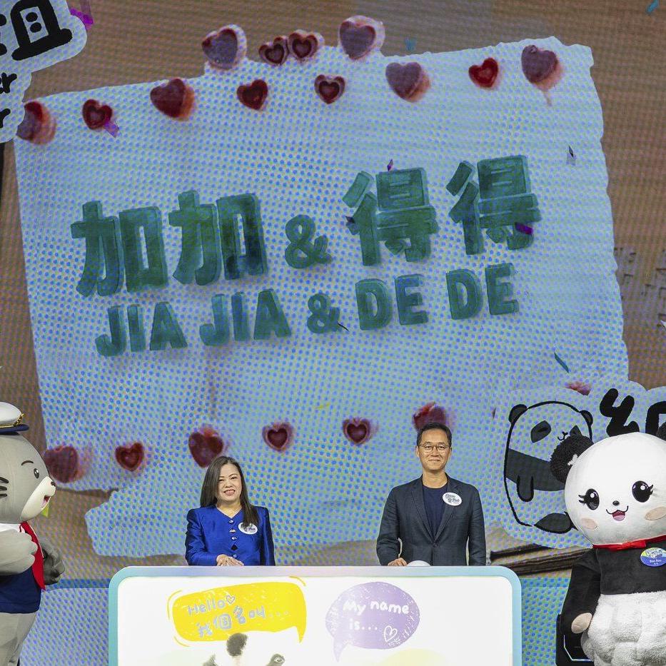 Meet Jia Jia and De De, Hong Kong's first locally born giant pandas